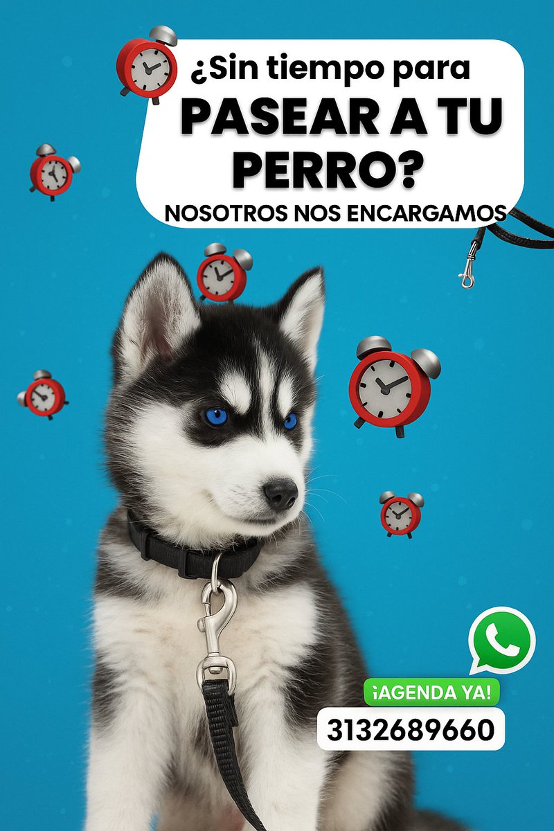 monstruo28's tweet photo. #Ibagué #perros https://t.co/orBEruHTn8