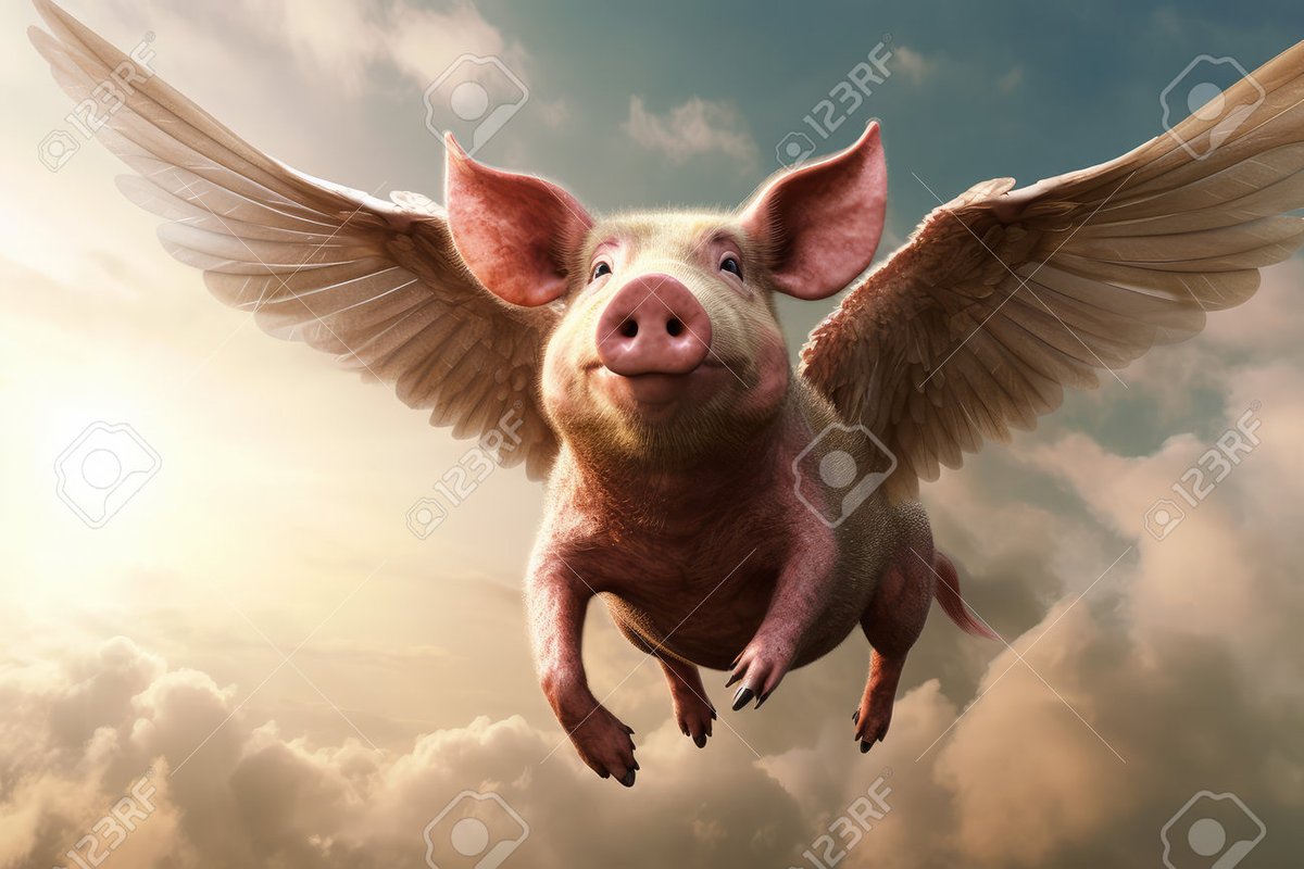 NuttElecs's tweet photo. @TimWilsonMP Stop with the porkies, you dim witted idiot; https://t.co/26hZDLXUpx
