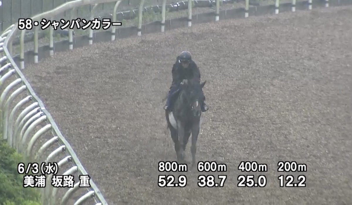keibareki29nen's tweet photo. ◆安田記念・調教ランキング◆

🥇シャンパンカラー
いつもよく見せるんじゃが、
今回もかなり調子は良さそう。
道悪のイメージがあるかもしれんが、
走り方を見ても良馬場でも末脚はキレる。
去年は衝撃の末脚じゃった。
同じ脚が使える調整に思う。

🥈ステレンボッシュ

🥉ドラゴンブースト https://t.co/vR6x4S68x7