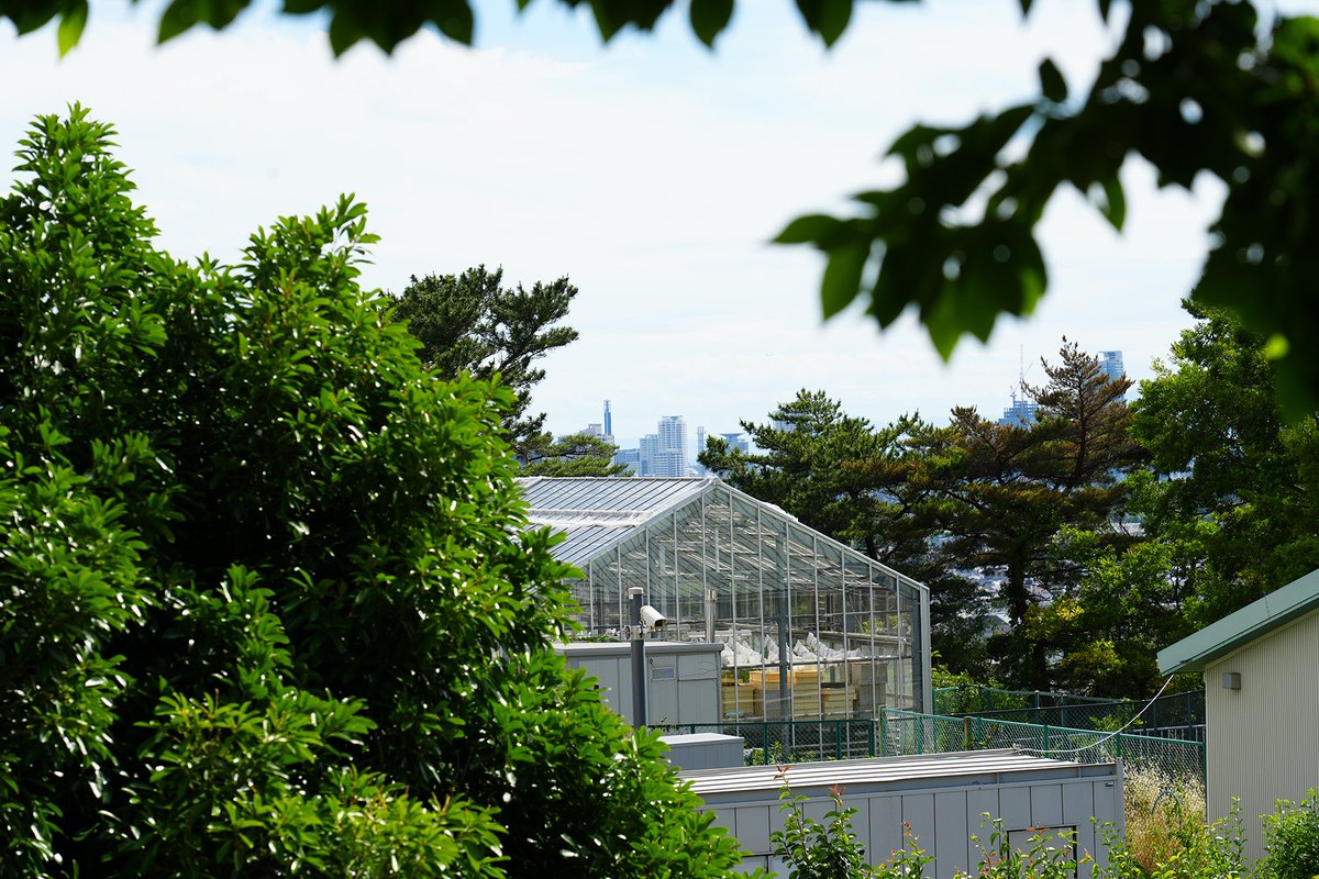 KobeU_Global's tweet photo. Whether it's studies or research, #KobeU opens up farsighted perspectives. #KobeUmoments https://t.co/VwPn7drNl1