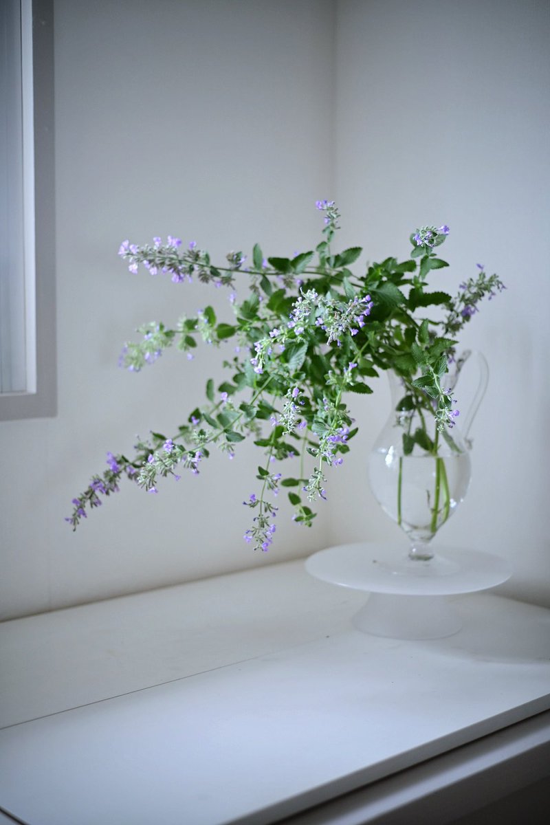 keino glass (@keinoGlass) / Posts / X