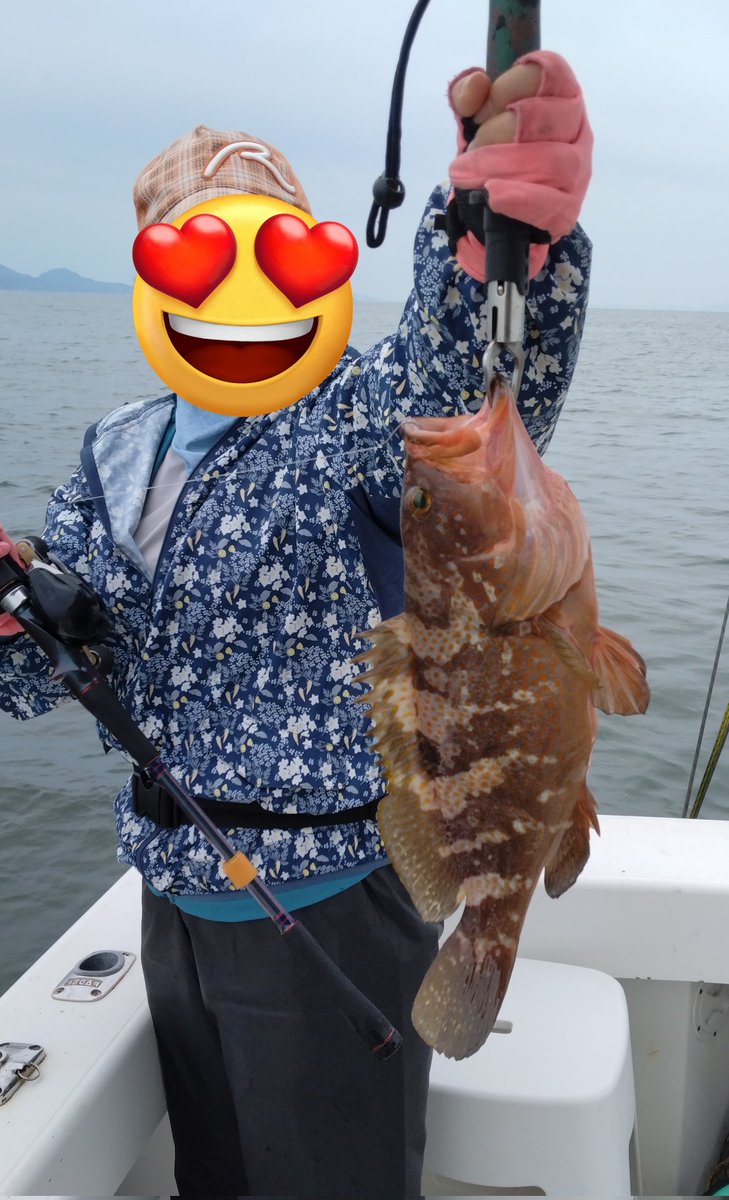 fish505050's tweet photo. 瀬戸内釣行３回目は嫁と一緒にアコウ(キジハタ)釣り🎣根周りの釣りが慣れない嫁は最初は苦戦してたけど…終わったみれば７匹も✨✨初の瀬戸内釣行で充分に楽しんだようです☺️ https://t.co/Tohdcm8EW4