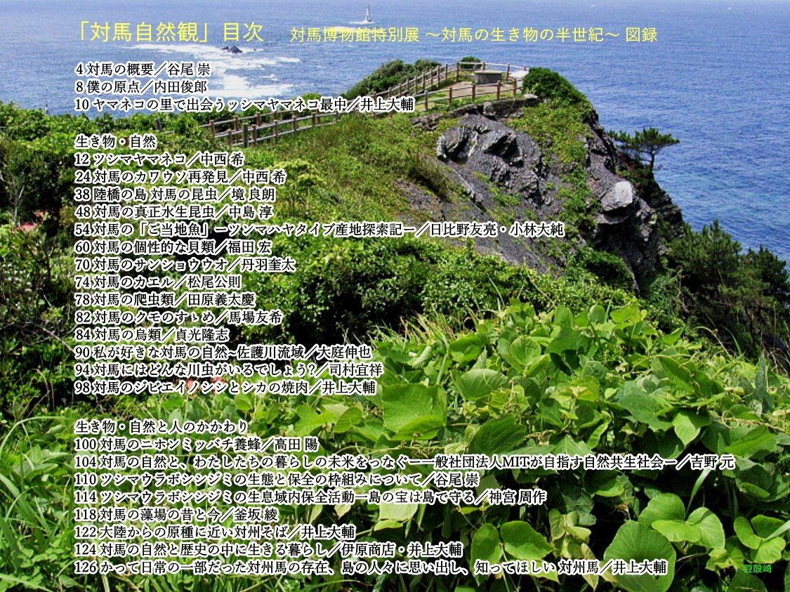 yohbo's tweet photo. 『対馬自然観』～対馬博物館特別展図録～
B5版フルカラー128ページ。 今の対馬の多様な生き物の現状をおおよそ把握できる内容になっています。
特別展：対馬の生き物の半世紀　環境変動と研究の歩み
期　間：5/30(土)～8/31(月) https://t.co/catOcNbfkt