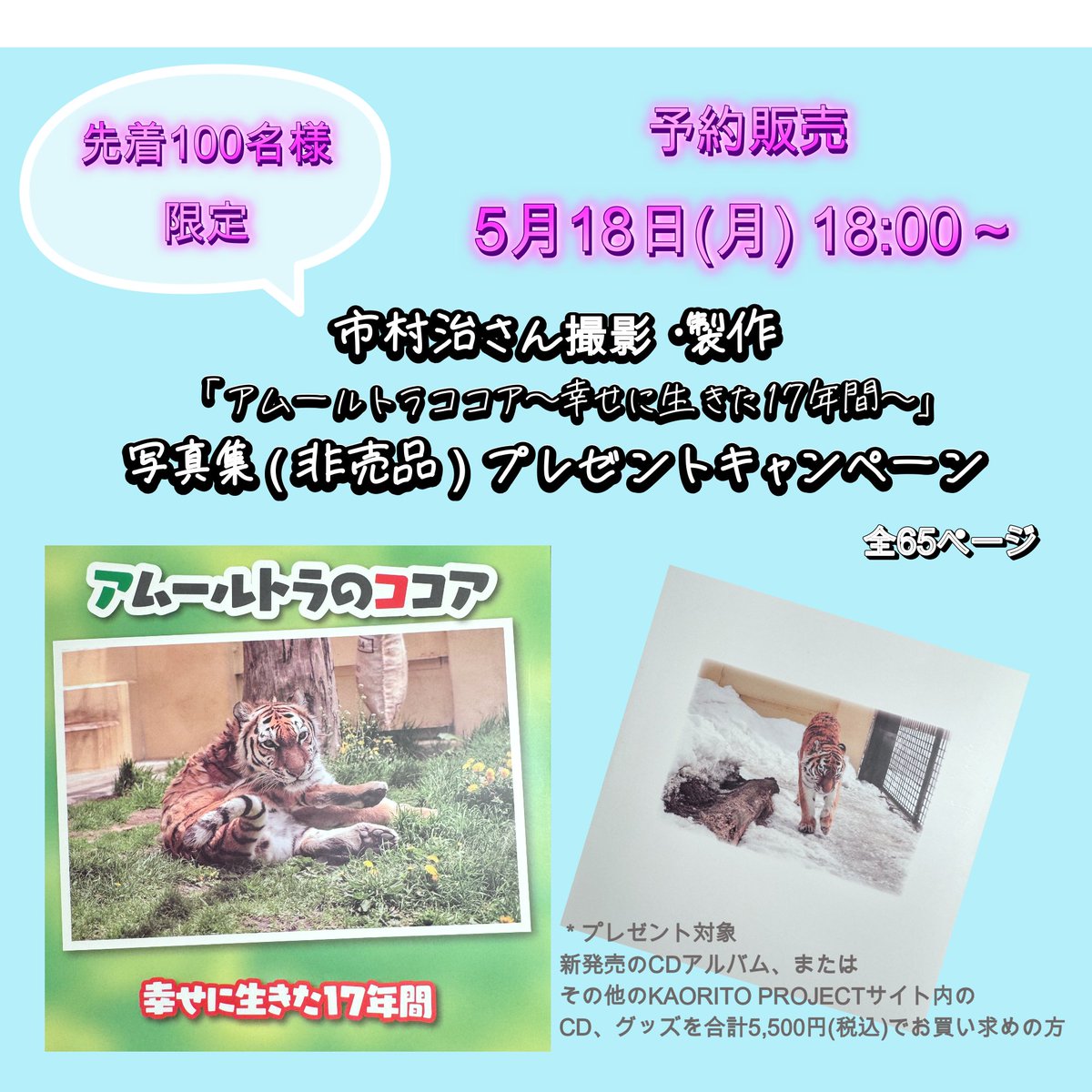とらねこ様ご確認ページ 猫の目が片目だけ白く濁る原因と