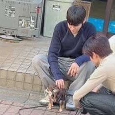 js1jcs's tweet photo. .                                             복복 복 ...
                    ...
                    이 친구 ,
                    요즘 젊은이답지 않게
                    등 한번 야무지게 잘 무치는군 https://t.co/dGR4msakEi