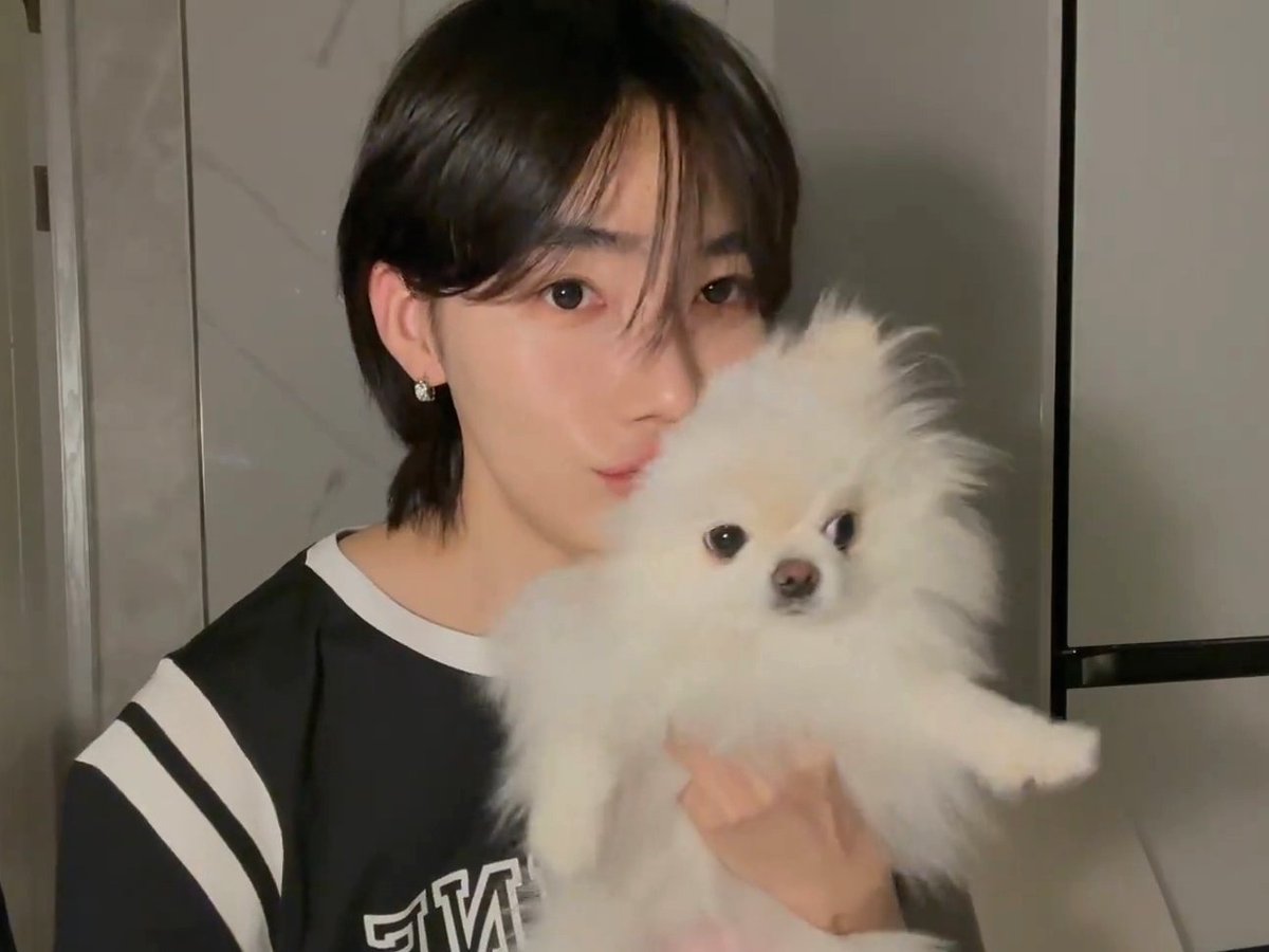AmyKim65016210's tweet photo. Happy Birthday, Domdu, the cutest puppy on earth!🥰

#domdu #chanhee #뉴 #돔두 https://t.co/jmYzJVLzDh