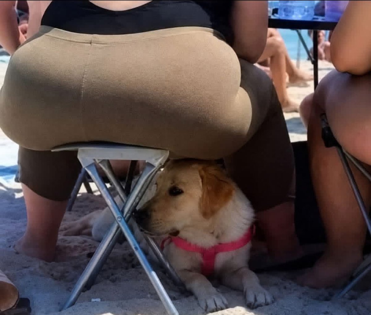 zaichiefgt's tweet photo. GOOD MORNING X LEGENDS✨

May you have the strength of this stool and the courage of this dog in life 🤲🏽

Today will be a better day 🤲🏽 https://t.co/IaN4ucvzee