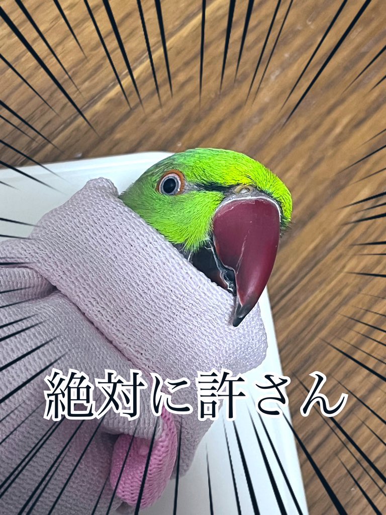 TarouRedegg's tweet photo. #戦争反対 https://t.co/9fcCEPgngP