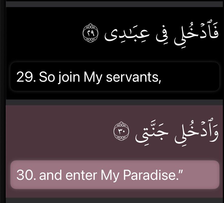 Al__Quraan's tweet photo. And enter my paradise https://t.co/BgTliliRKZ