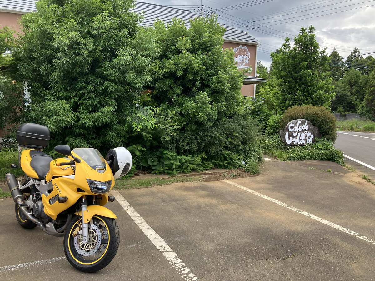 Sispri_RR's tweet photo. 今日は休みじゃ、グフフ
台風一過だし無計画おバイクする！
まずは岩井の将門蕎麦で食べ放題…休みだ😂
では水海道手前の焼きそばだ！
正直、えみ程でもないけど屋台感強い味わいのこちらもなかなか😋
ちょいと足りないのでしっぽな。
ホットケーキはさくふわで綺麗な焼き上がり、懐かしくも美味✨ https://t.co/wj28ca7iGX
