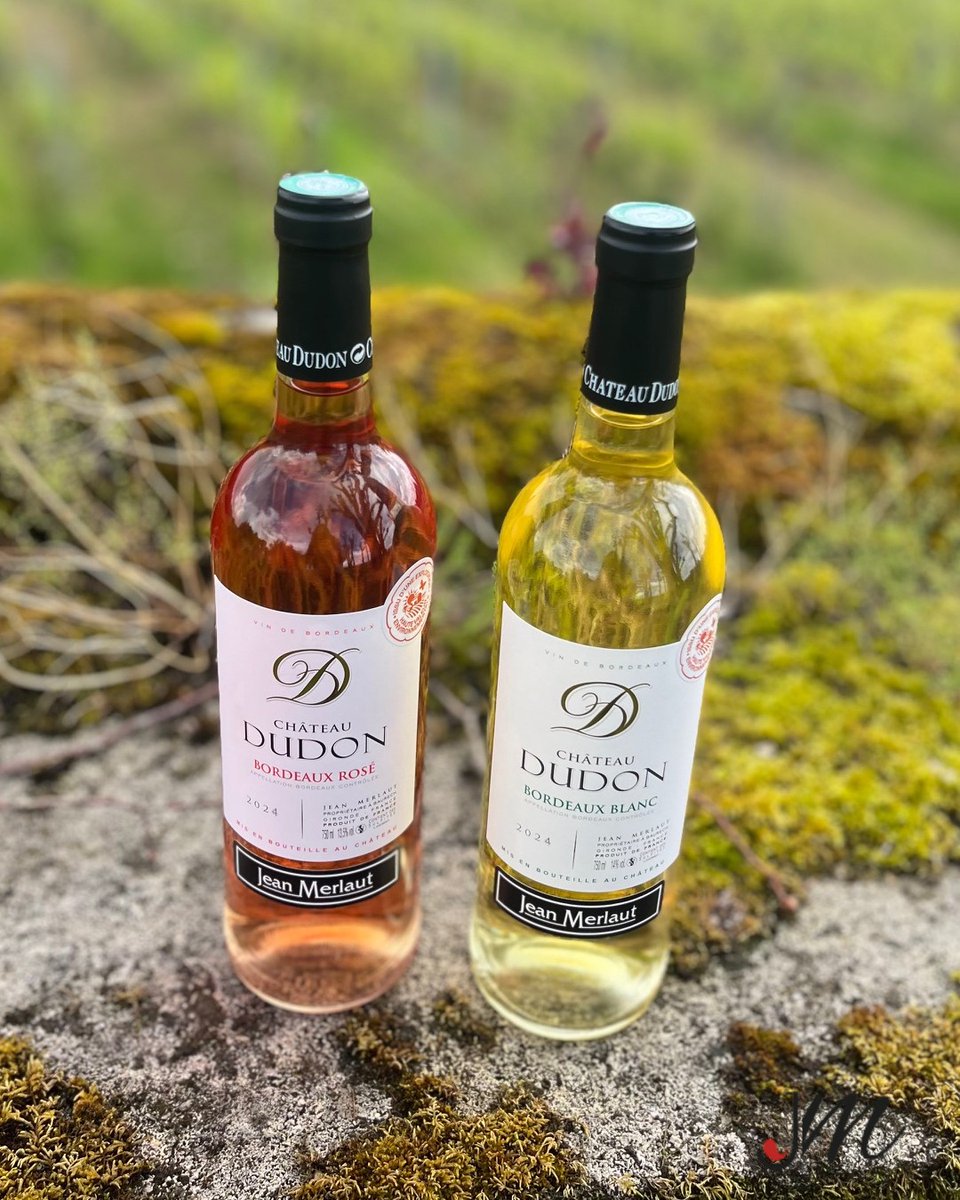 EquipeJMerlaut's tweet photo. Êtes-vous plutôt Blanc ou Rosé ? Profitez de notre sélection de Blancs et de Rosés pour accompagner vos moments ensoleillés !☀️

Cette saison, laissez-vous séduire par : https://t.co/krNE0XMugN