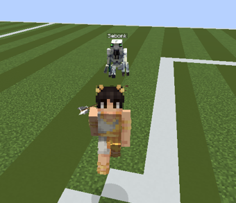 SwifixMC's tweet photo. Never 1v1ing Sebonk Again @SebonkVFX https://t.co/bSpRyiheYg