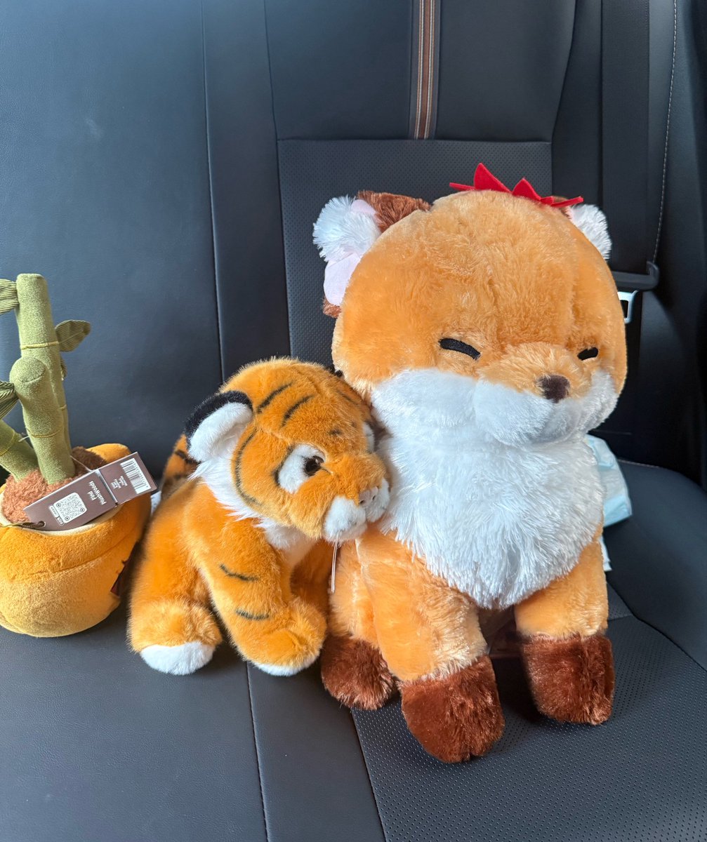 SLeopard27's tweet photo. หันไปเบาะหลัง จู่ๆ ก็รู้สึกโสดมากขึ้นมา… 🥹 https://t.co/FgABgUaUgH