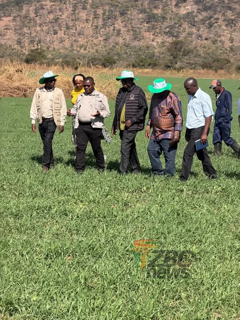 makusha_effort's tweet photo. GOVERNMENT has extended the winter wheat planting deadline to June 15 to ensure the achievement of this year’s target of 125 000 hectares, with over 100 000 hectares already planted nationwide.
#Vision2030 
#EDWORKS https://t.co/fHbLKrbuj7
