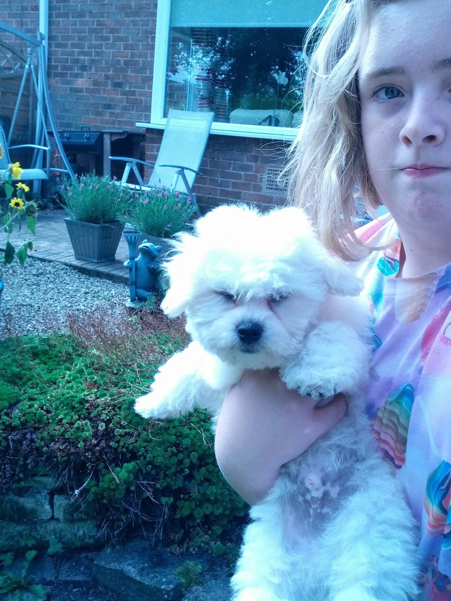 hobigumdrop's tweet photo. The same me and my fluffy just when I was 12 and he was 12 weeks and I was 23 and he was 11 https://t.co/P5TV48cifu