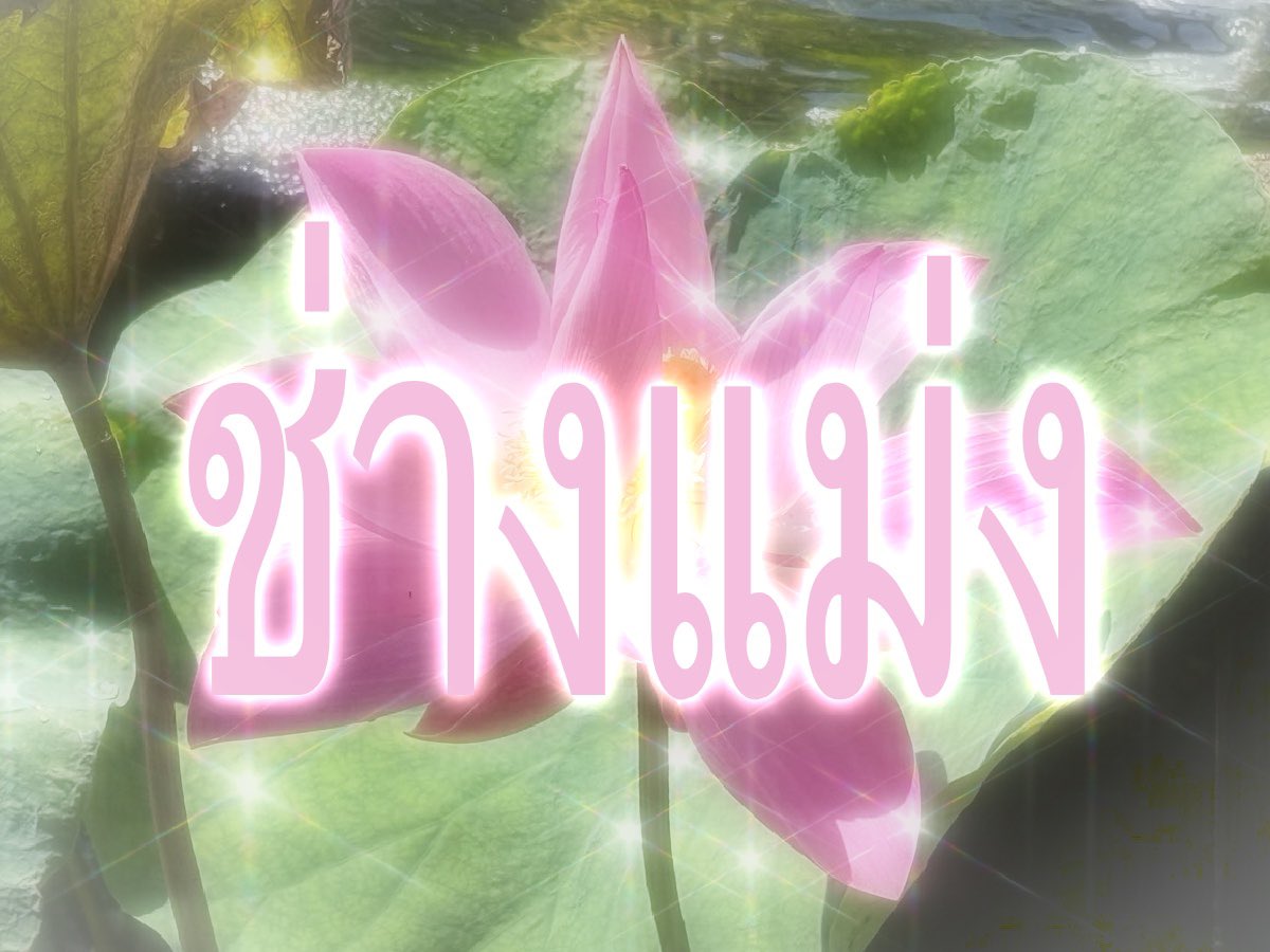 กาเบม tweet media