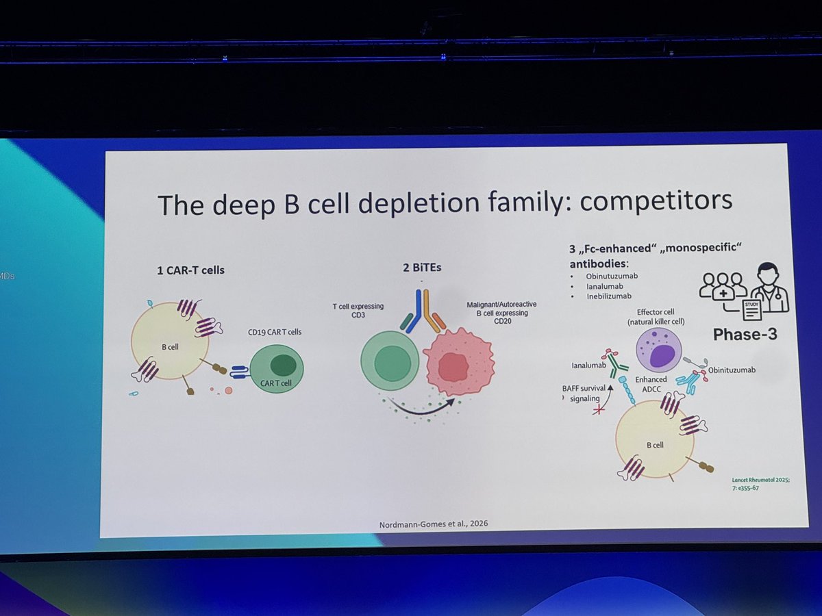 KDAO2011's tweet photo. Deep B cell depletors: #EULAR2026 https://t.co/wpyJf7CsDE