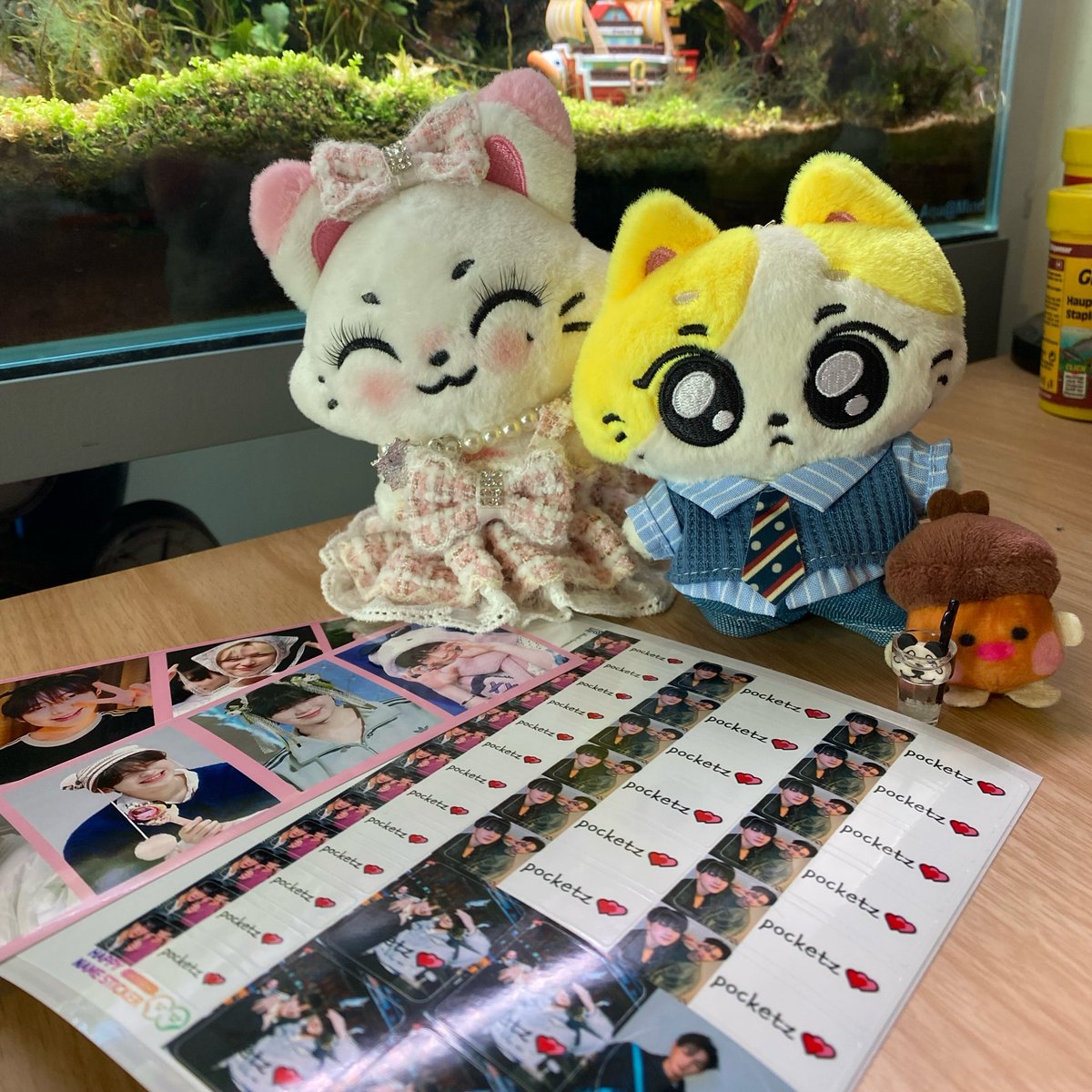 duckpxbx's tweet photo. ; คุณหนูอย่าเข้ามาใกล้ผมเลยคับ 
; ทำไมล่ะ ก้อชั้นรักนายหนิ 
; ผมอาย https://t.co/nuVvsTV5a6