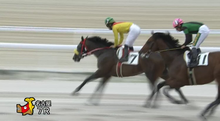 amkage's tweet photo. 牧場生産馬ワカギミが名古屋7レースで2勝目を挙げました。後方から進出して４角では最内を突いて抜け出す塚本騎手の好騎乗が大きかったと思います。関係者の皆様おめでとうございました。 https://t.co/Zt757ovoWO