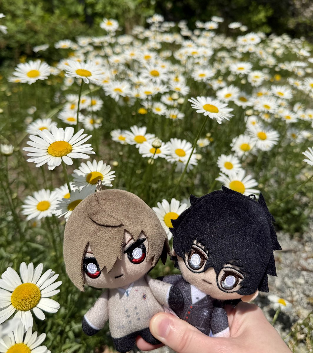 ZanderScander's tweet photo. Some pics I took from early May I forgot to post! https://t.co/J7XMZpSNj5
