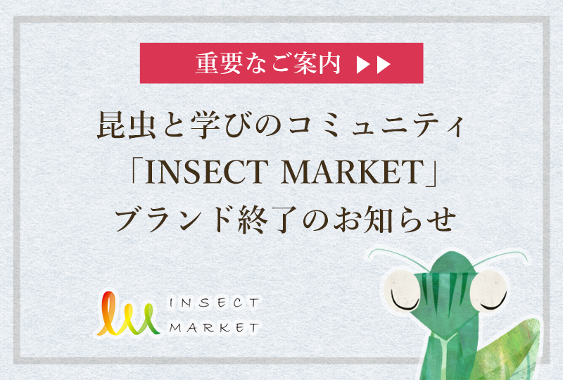 64collection's tweet photo. いつも「NSECT MARKETをご愛顧いただき、誠にありがとうございます。

本日6月4日は、私たちにとって1年で最も特別な「むしの日」。この節目の日に、大変重要で、かつ心苦しいお知らせをしなければなりません。

INSECT MARKETは、誠に勝手ながら本年夏をもちまして、全サービスを終了することとなりました。