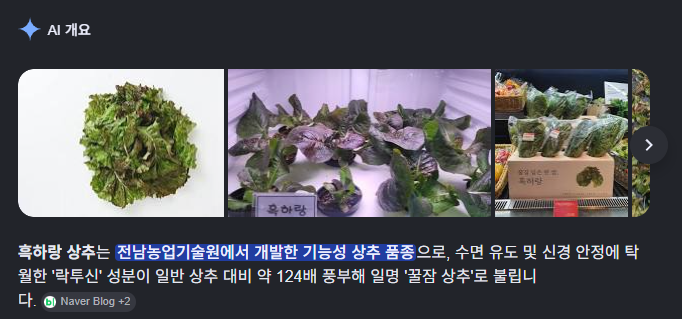PachePot's tweet photo. 요즘 먹고 있는 영양제

아침 - 락토핏 (유산균), 비타민 D (오늘 추가함)

저녁 - 흑하랑 상추 추출물 

상추 추출물은 먹기 시작하고부터 잠 잘 오긴 하는데, 아침에 국장 보려고 일찍 일어나니 잠이 부족해져서 그냥 잠이 잘 오는 걸수도 https://t.co/bhPUEPLZRg