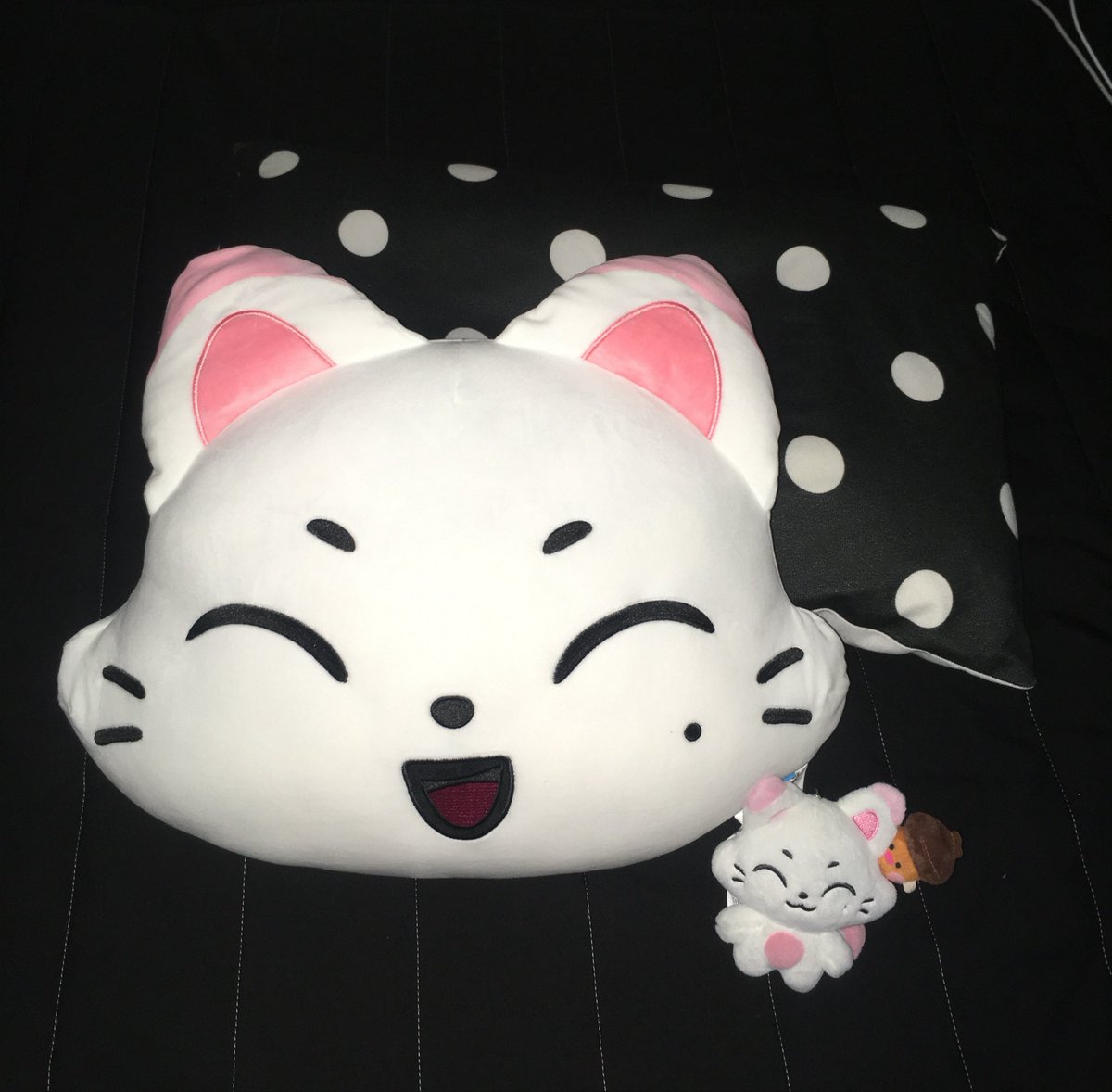 dororeee's tweet photo. 키슈들아 우리 사이좋게 살아보자 ~~ https://t.co/ORCl9vxKn0