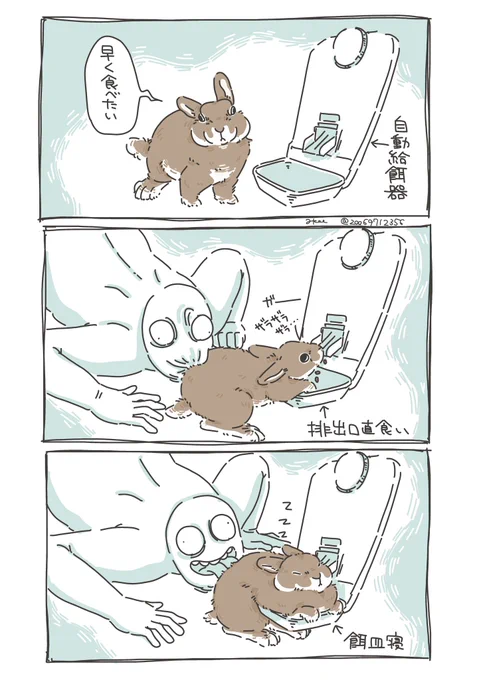 うちのうさぎはプロの飯食いなので給餌器の餌が出るとこに口突っ込んで飯食うし餌皿の上で寝る 
