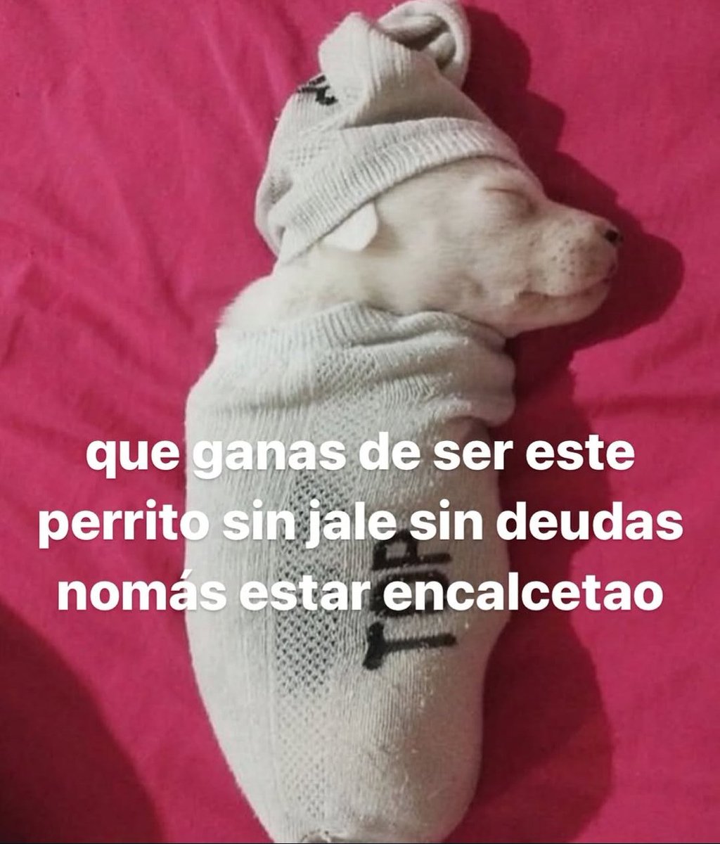 elconde_nad0's tweet photo. Que ganas https://t.co/sR0WEYc5LT