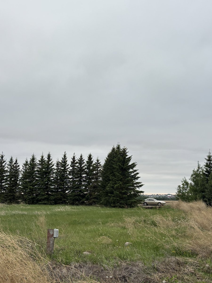 applebeans25's tweet photo. coupe in the distance https://t.co/ImJONYYCxx