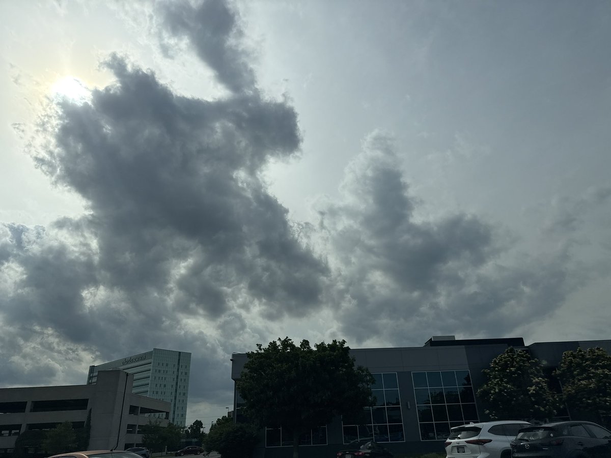 B_Chaos_'s tweet photo. My day in pictures.
1. Some clouds that looked way cooler in person .
2. Bunnies that were hiding in the coneflowers.
3. Yes, that’s all catnip.
4. Strawberry clover that I’ve been waiting very patiently for flowers from. https://t.co/jjcvUikmzv