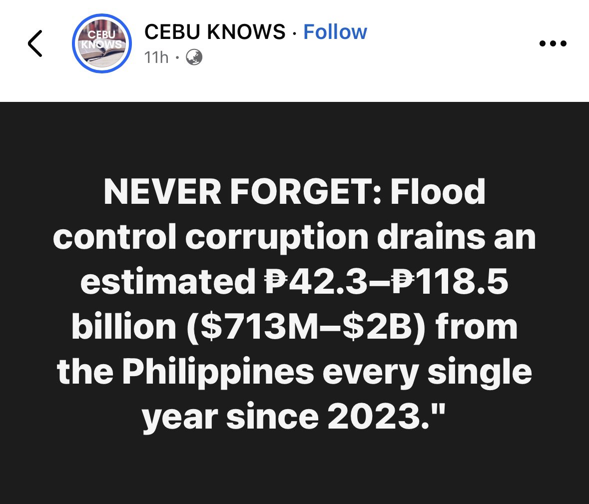 glacyforyou's tweet photo. For almost a year, nobody from the fake majority dared to push for a flood control investigation. It took the #Brave13 under APC’s leadership actually having the balls to push it forward in a heartbeat. If you’re still out here defending your political biases, let this sink in. https://t.co/JnERHV60sM