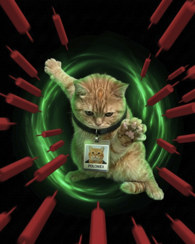 Poloniex's tweet photo. Crypto Kung Fu Level 99:

Turning panic into patience.

🐱🥋📉 https://t.co/cW99B7z3K7