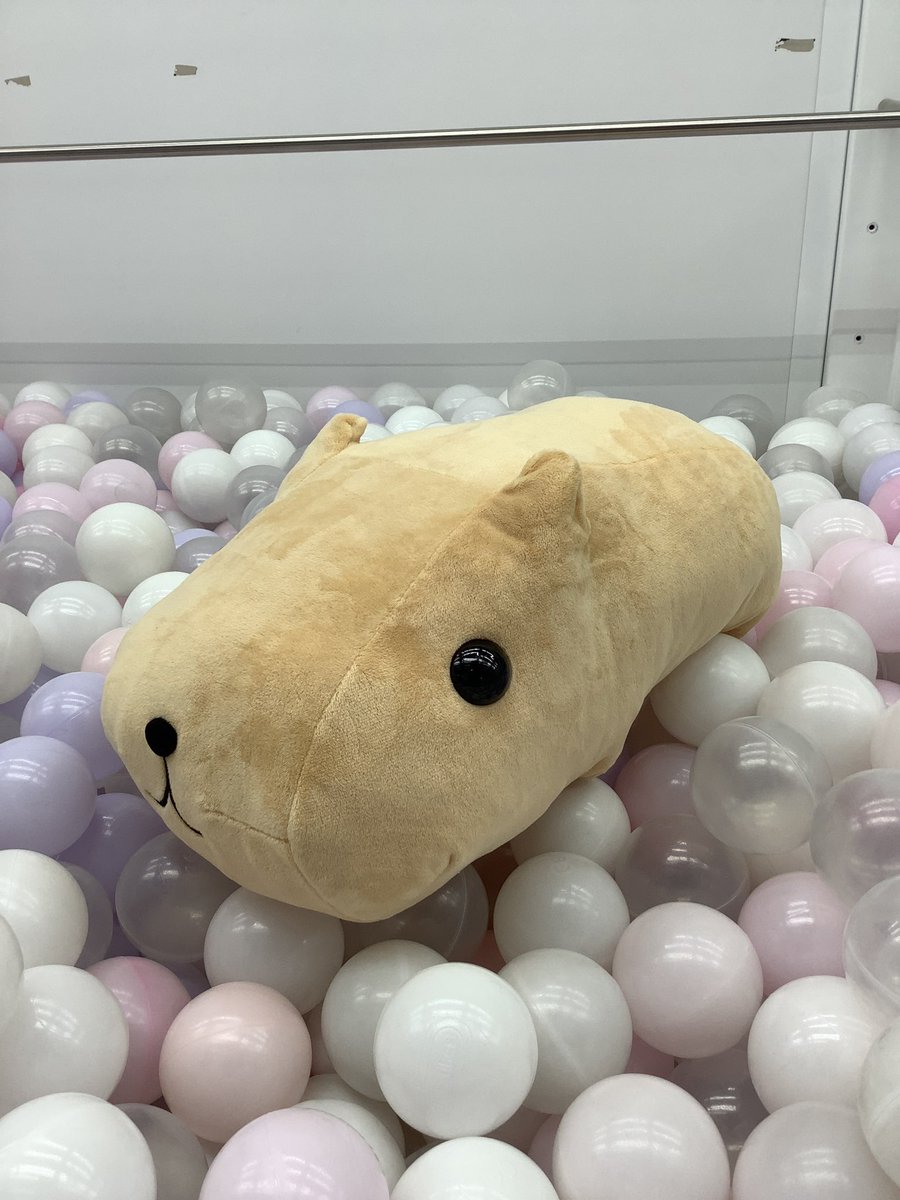 景品情報】 カピバラさん めちゃもふぐっとぬいぐるみ～おめめツヤツヤ