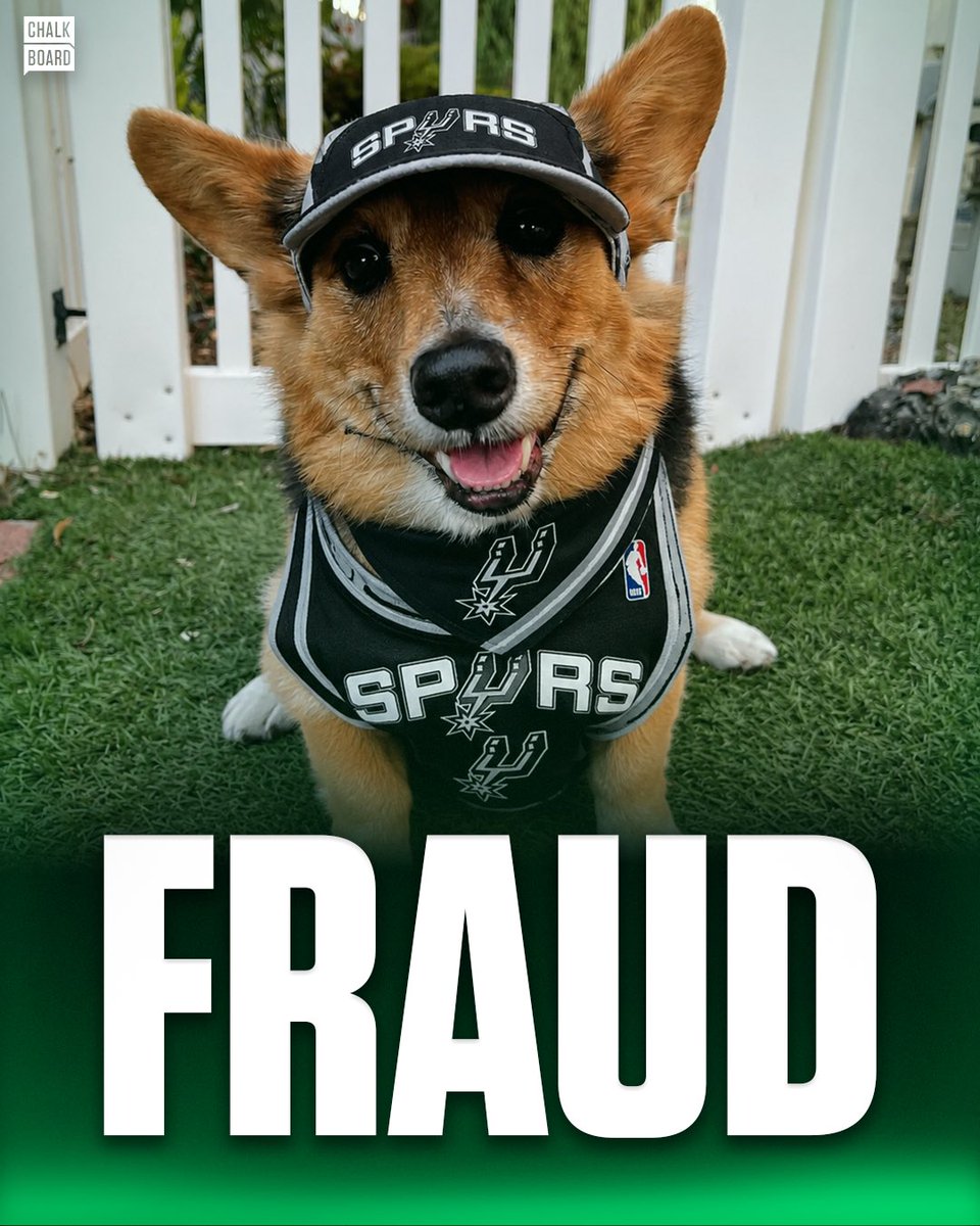 ChalkboardHQ's tweet photo. BREAKING: Air Corgi claimed the Spurs would win Game 1... she was, in fact, dead wrong https://t.co/3fnSFgK3r5