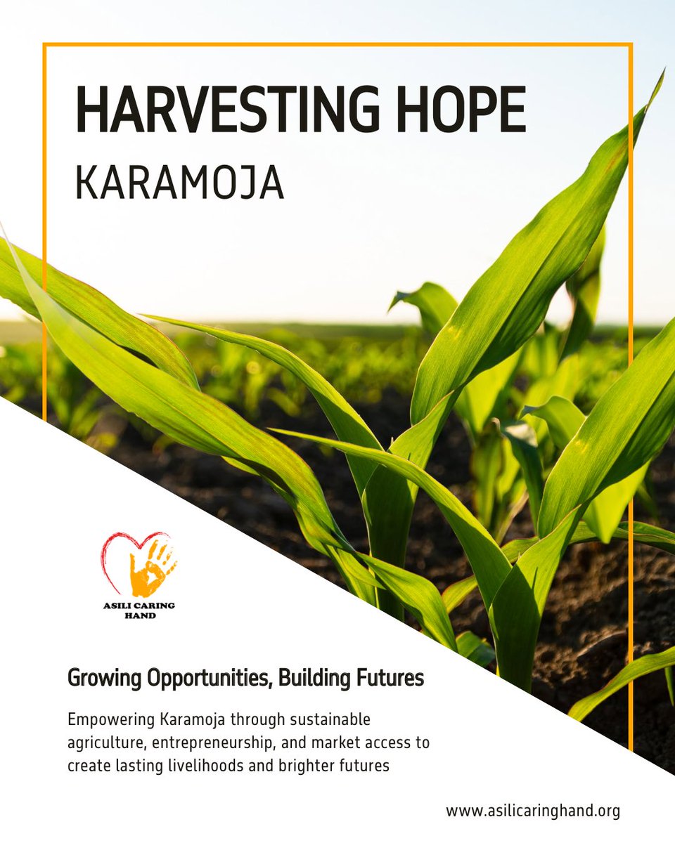 AsiliCaringHand's tweet photo. Harvesting Hope Karamoja is empowering communities through agriculture, entrepreneurship, and market access. Together, we're creating sustainable livelihoods and brighter futures across Karamoja.

https://t.co/fKL2fTZ4m0

#AsiliCaringHand #Karamoja #SustainableLivelihoods https://t.co/KOWxONYmQY