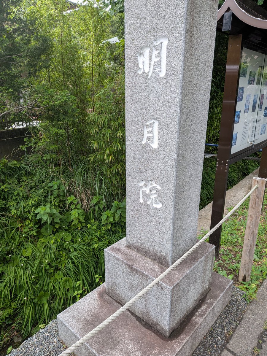 m46t516's tweet photo. #鎌倉  #藤沢

昨日から神奈川旅行に来てます🩷 https://t.co/0JUlP7ezmo