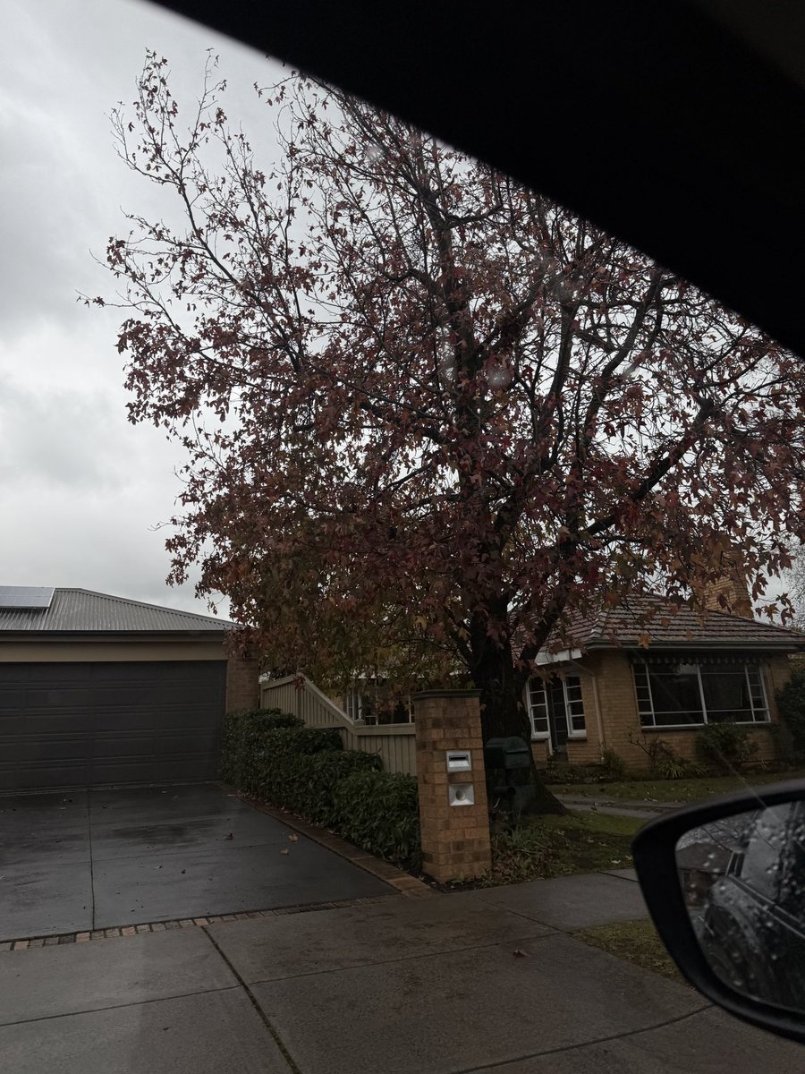 lastsolace's tweet photo. went outside today https://t.co/3laQxMcFdi