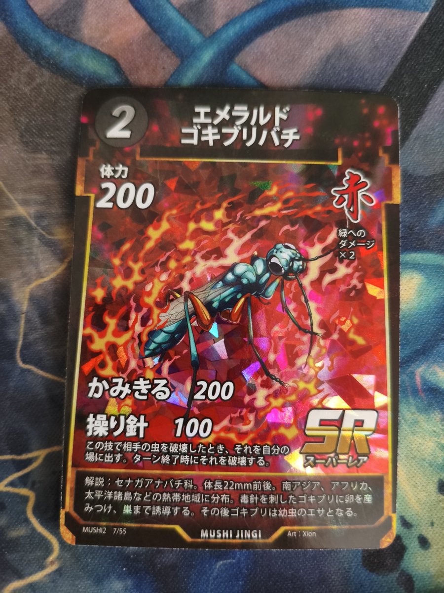 yuki8743th's tweet photo. エメラルドゴキブリバチ https://t.co/OorLZWkDHM