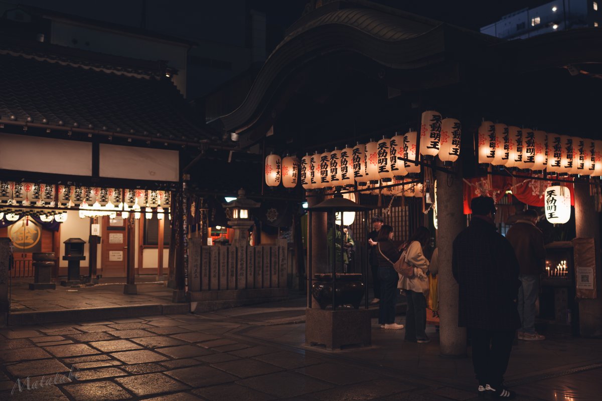 Matatabi (@matatabi_origin) / Posts / X