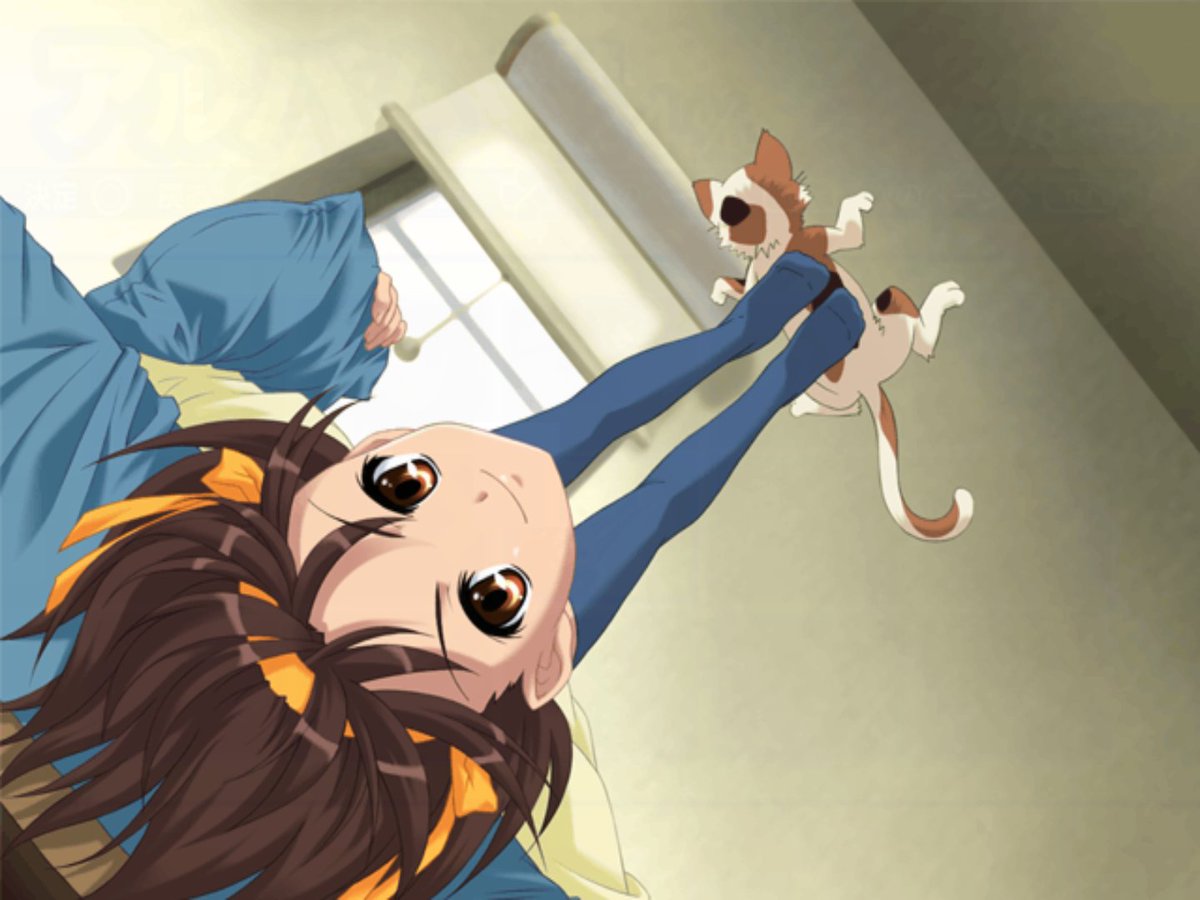 HaruhiBotKioku's tweet photo. https://t.co/kvfO6NNb5i