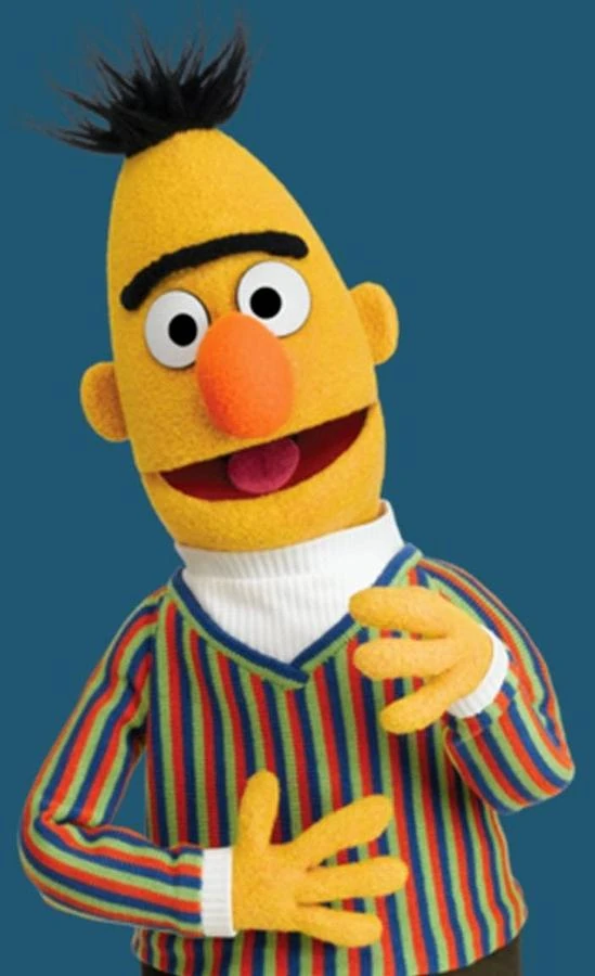 jonzzy's tweet photo. @Bh2800 idk man, bro looks like bert from sesame street https://t.co/drm2g640vn
