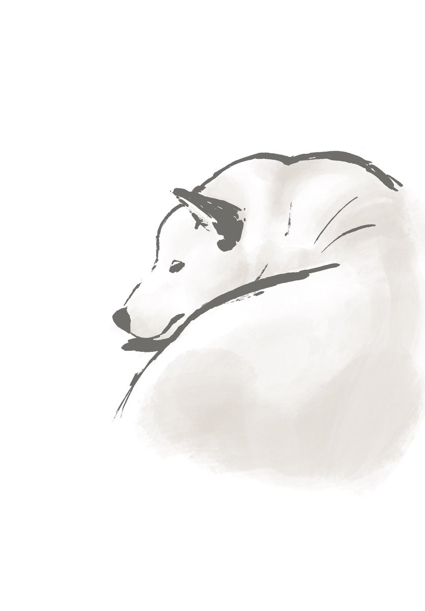okufab's tweet photo. dog dog Tシャツを作りたくて友人の柴犬さんをモデルに描かせていただきました♪ https://t.co/t1L2FhX75t