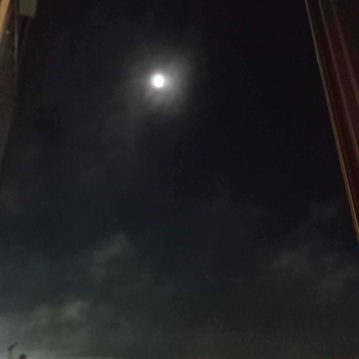 Beagmontejo's tweet photo. La incondicional 🌖 https://t.co/FwDwgFIAGt