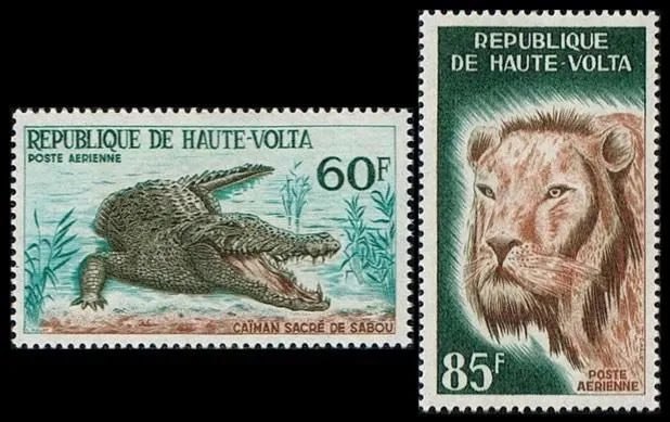 sheep4712's tweet photo. ワニ🐊とライオン🦁の切手。オートボルタが1965年に発行したアフリカの動物をデザインした切手です。オートボルタは現在のブルキナファソ🇧🇫です。 https://t.co/yFERfEc084