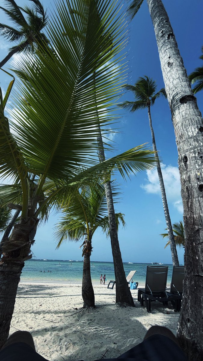 whyimtrimm's tweet photo. 🌴 https://t.co/Y8h2lkwcDT