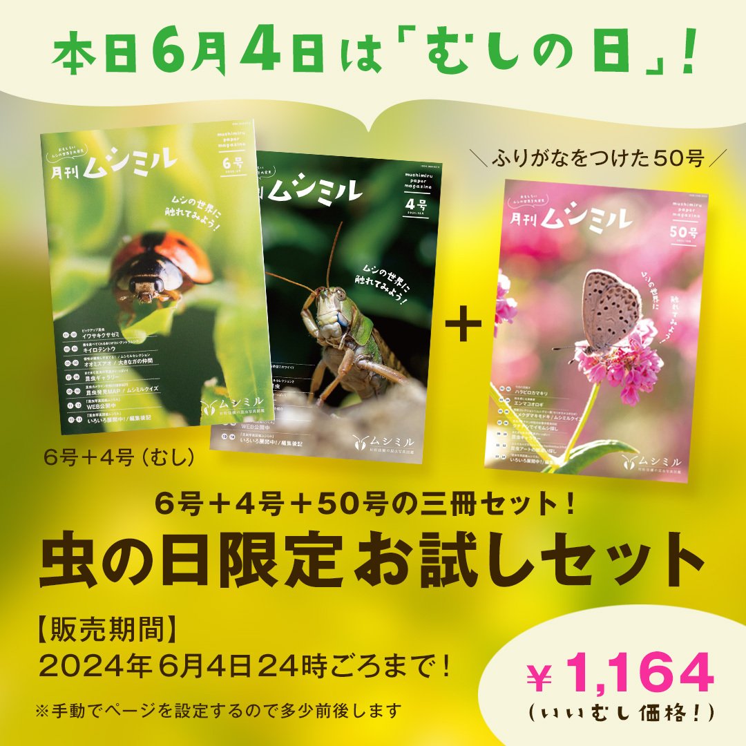 insect_design's tweet photo. 虫の日なので、いいむし価格で6号4号&amp;フリガナ付きの50号をセットで販売🙆

6/4限定だけど、昼過ぎで売り切れちゃったので後で在庫少しも追加します🐜

https://t.co/otwRbBY8xa https://t.co/ebOYzdIhLI