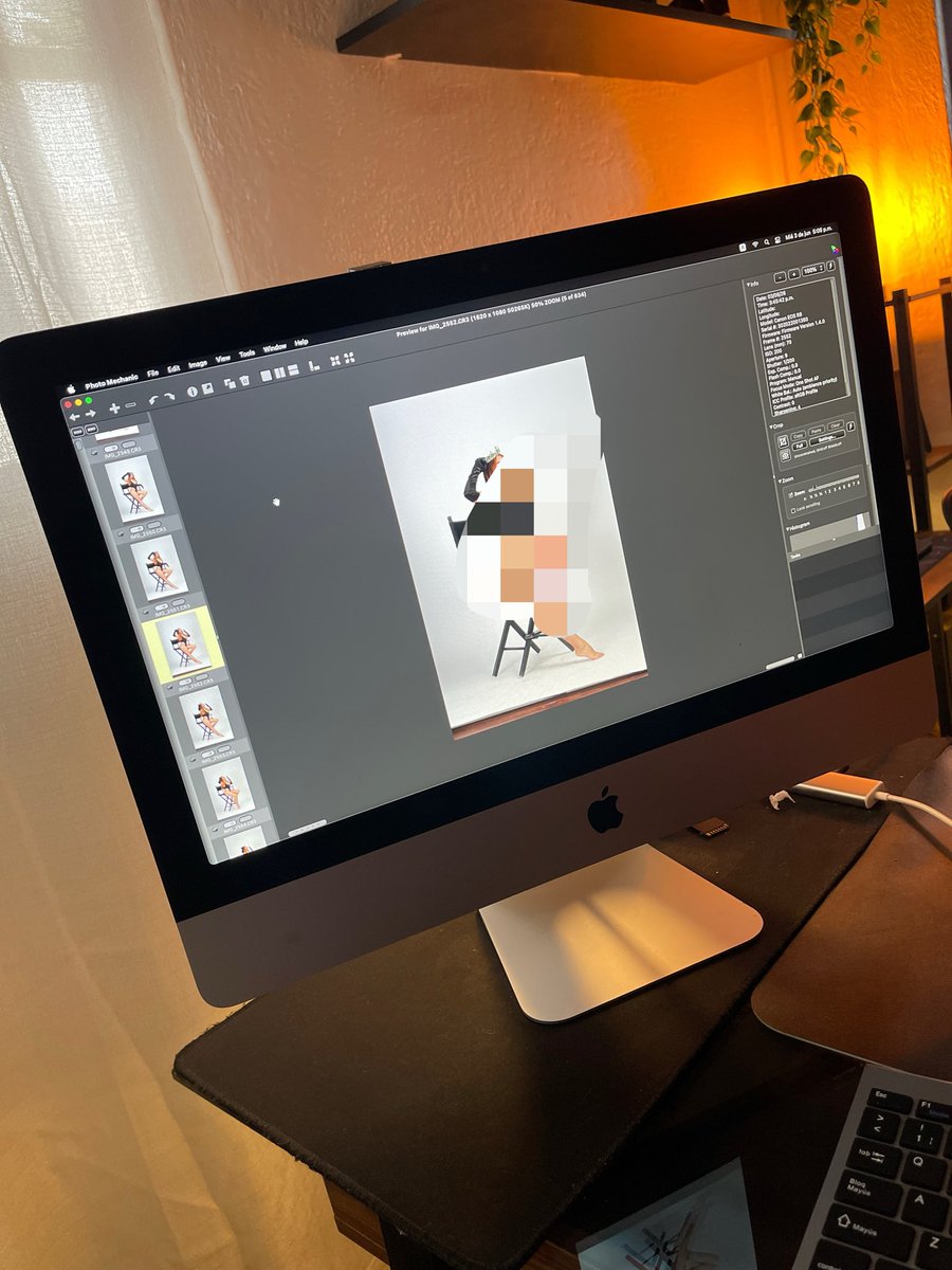 BabyMango001's tweet photo. Is coming… https://t.co/xaJJvGq4sU