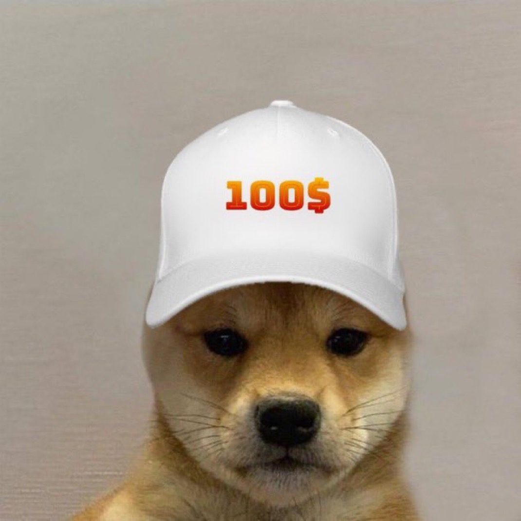 dogwifcoin's tweet photo. The next $WIF is $WIF https://t.co/z2DEezQKey