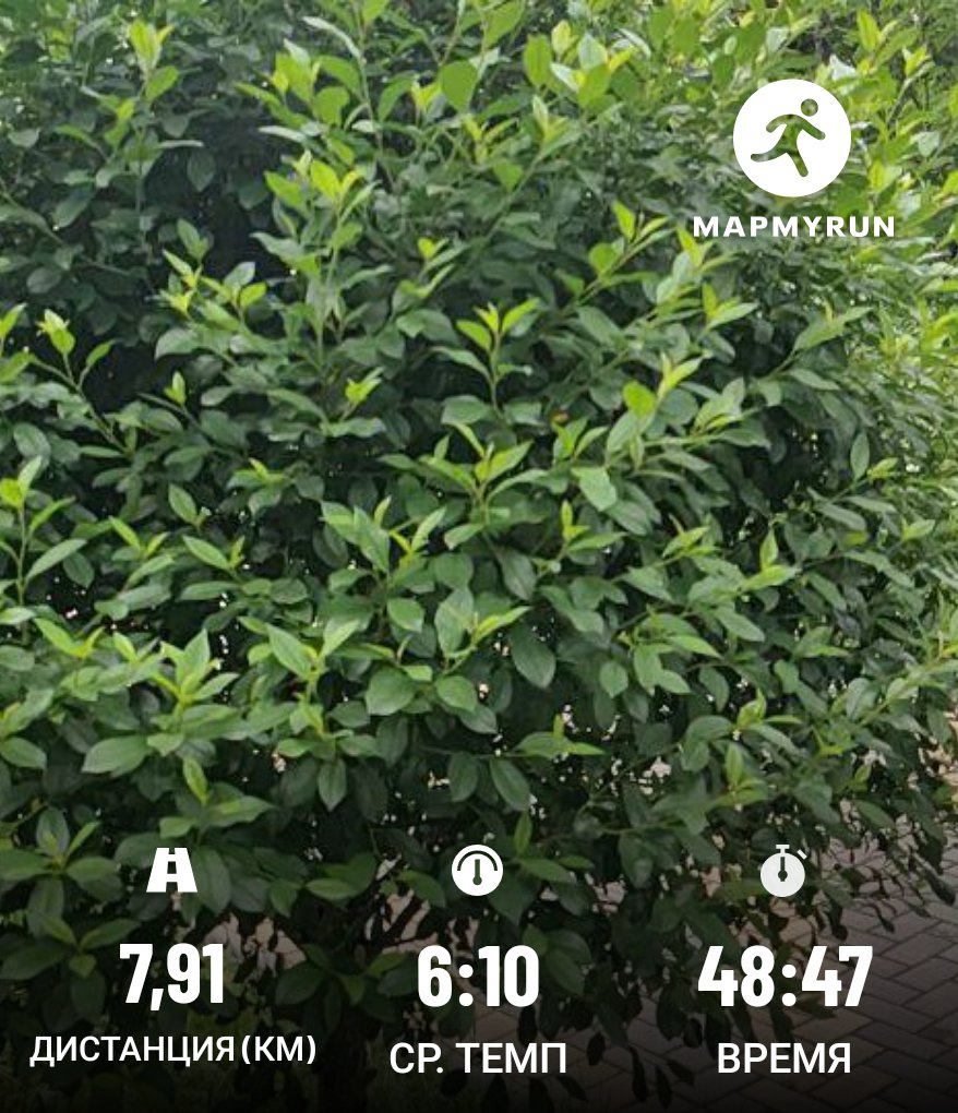 rybnitsa's tweet photo. Бег #running https://t.co/xuG7tP69Z3